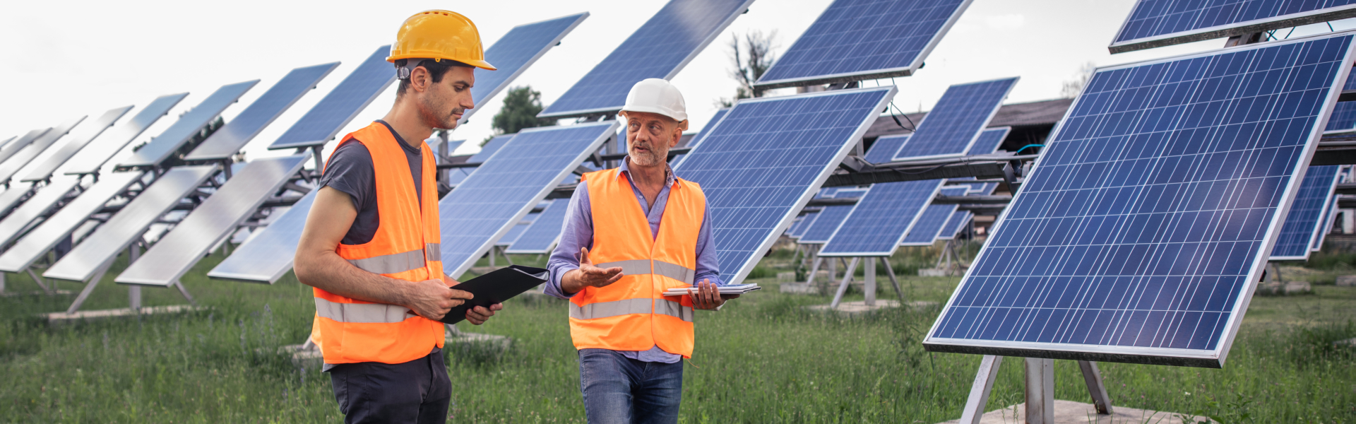 portrait of two adult male engineers wearing safety vest consulting with blue print in front of solar panels